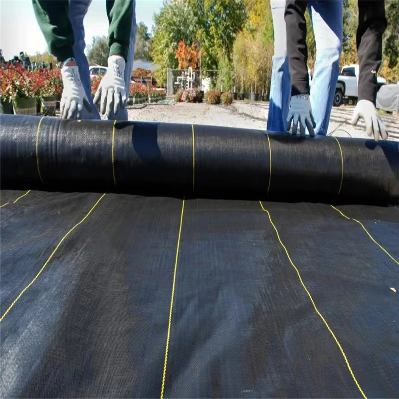 UV Resistant Durable PP Woven Fabric Roll,Agricultural Weed/Grass Control Cloth,Weed Barrier Landscape Fabric Factory,Degradable Black Ground Cover Fabric Price